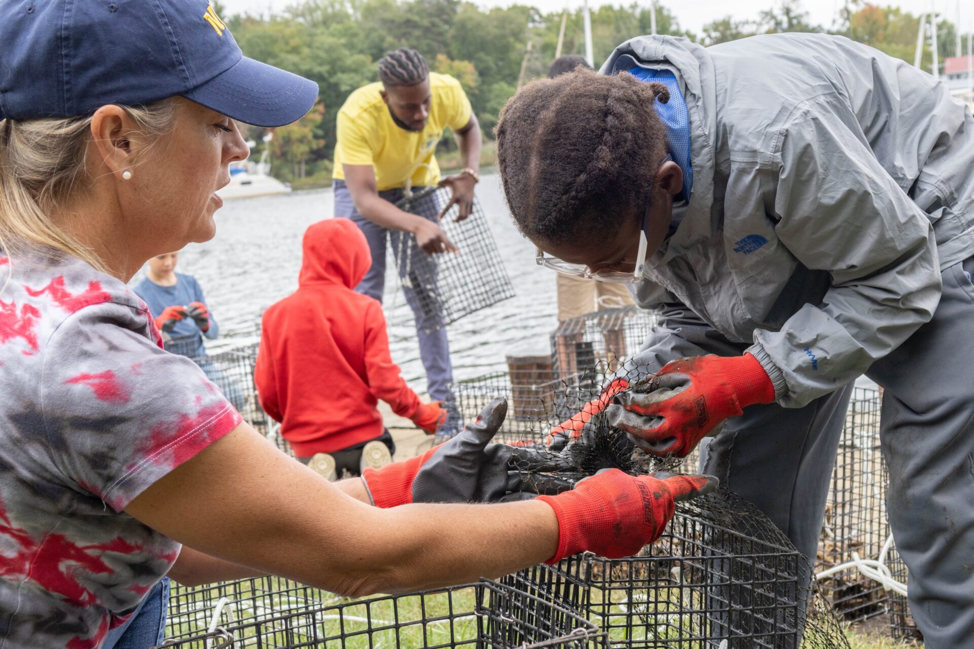 Two women are building an oyster cage together. In the background we can see two other people building an oystr cage together. They are standing on grass beside a body of water.